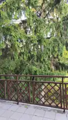 Pest megye - Budakeszi