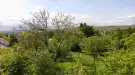 Pest megye - Budakeszi