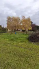 Pest megye - Tök