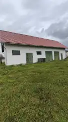 Pest megye - Tök