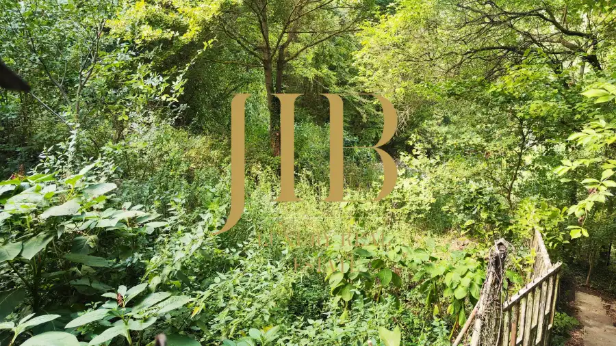 eladó  Építési telek, Budapest, II. kerület