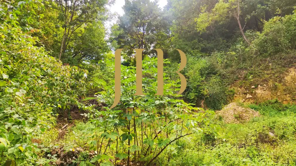 Budapest, II. kerület - Máriaremete - II/A