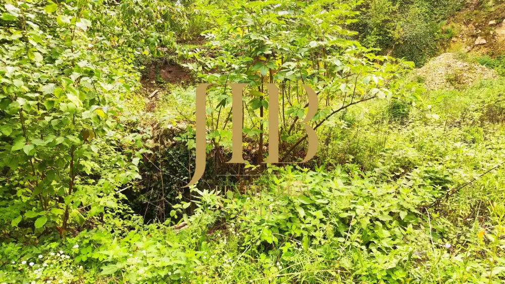 Budapest, II. kerület - Máriaremete - II/A