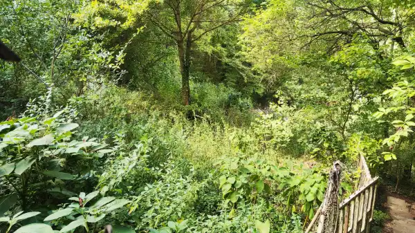 Eladó Építési telek, Budapest, II. kerület 1328 m² 289 M Ft