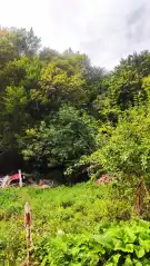 Budapest, II. kerület - Máriaremete - II/A