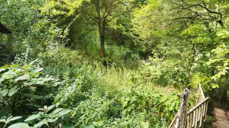 Eladó telek, Budapest, II. kerület 1328 m² 289 M Ft